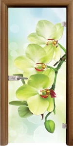 Стъклена интериорна врата, Print G 13-3