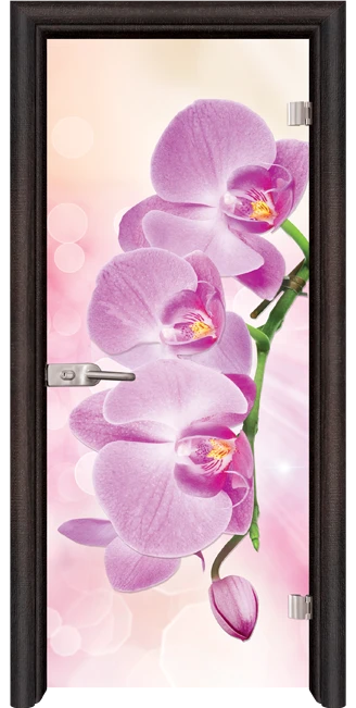Стъклена врата Standart Print G 13-3 Pink, Венге