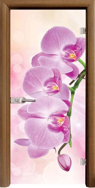 Стъклена врата Standart Print G 13-3 Pink, Златен дъб