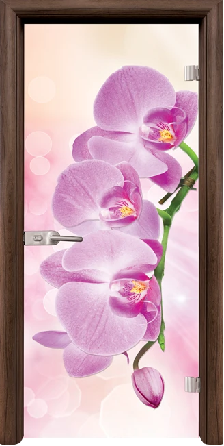 Стъклена врата Standart Print G 13-3 Pink, Орех